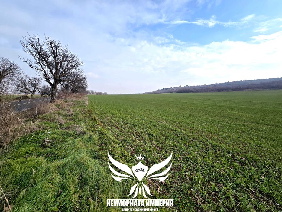 Продава се Парцел в Асеновград - 4800 кв.м за 7 €/кв.м - Снимка #4