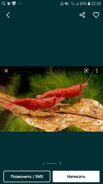 Продам аквариумных рыбок