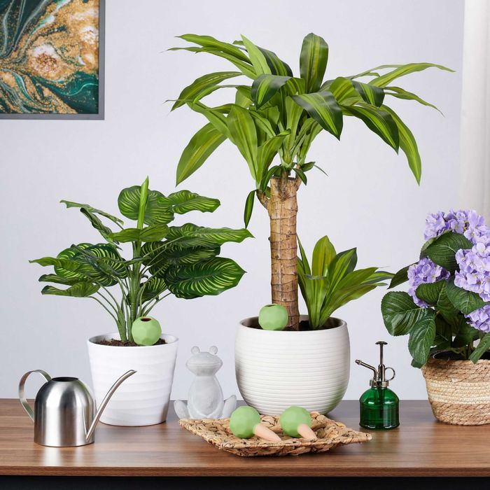 Set 4 bile de udare ceramica sistem automat plante de apartament verde