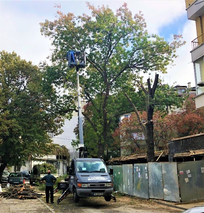 Рязане на дървета , Косене на трева, почистване на терени Варна