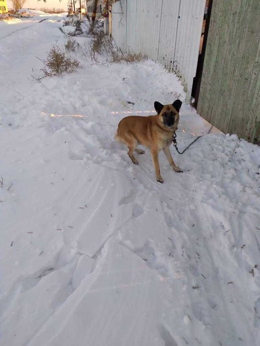 Продам дом в поселке