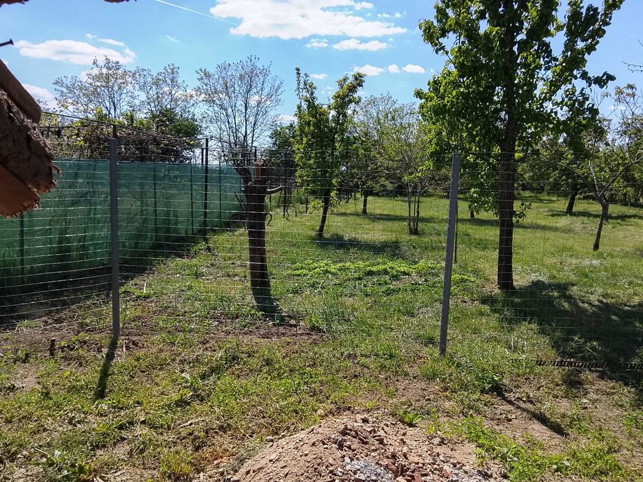 Vind casa cu gradina in loc.Nadab suprafața totală 1347 m.p