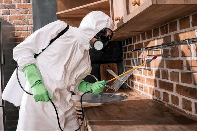 Dezinfeksiya | Dizenfeksiya | Дезинфекция | Дизинфекция | Klopaga Dori