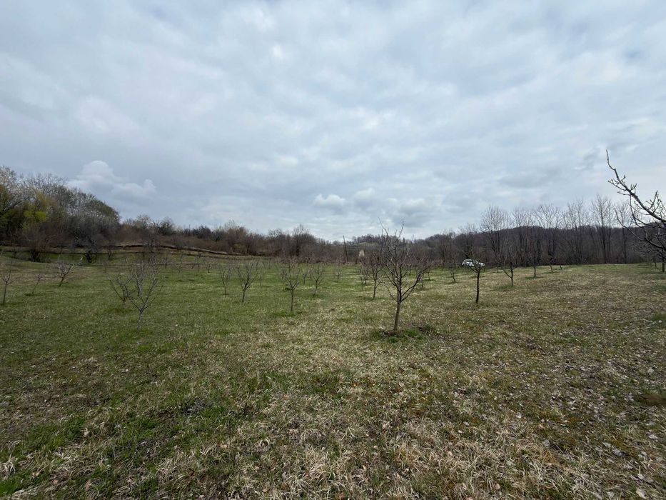 Teren / grădină de vânzare în Barbuletu, judetul Dambovita –  8055 mp