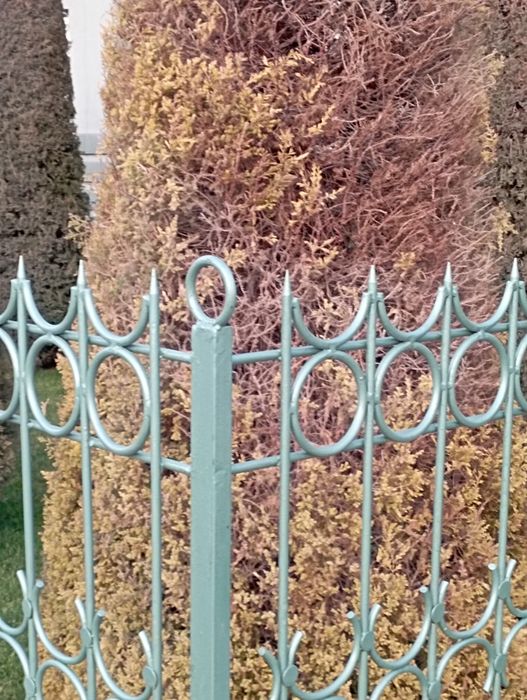 Archa kesish dorilash xizmati