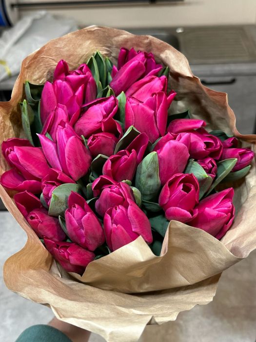 Свежие Тюльпаны Оптом