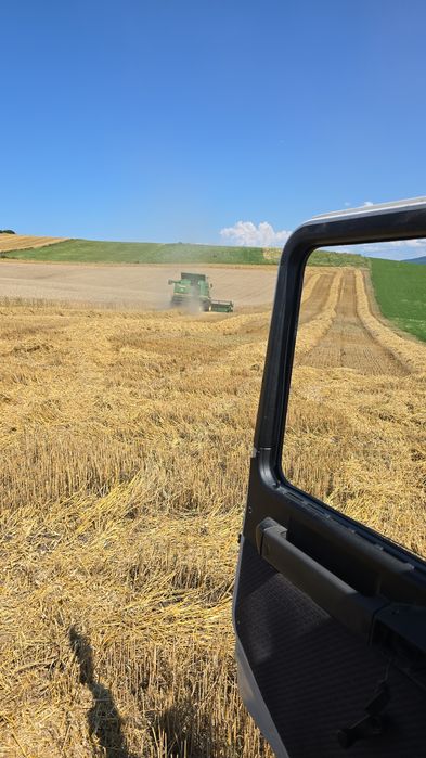 Grâu calitate deosebita