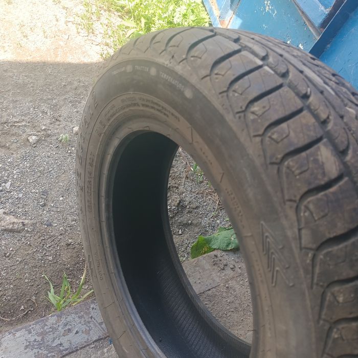 Состояние зверь !?/