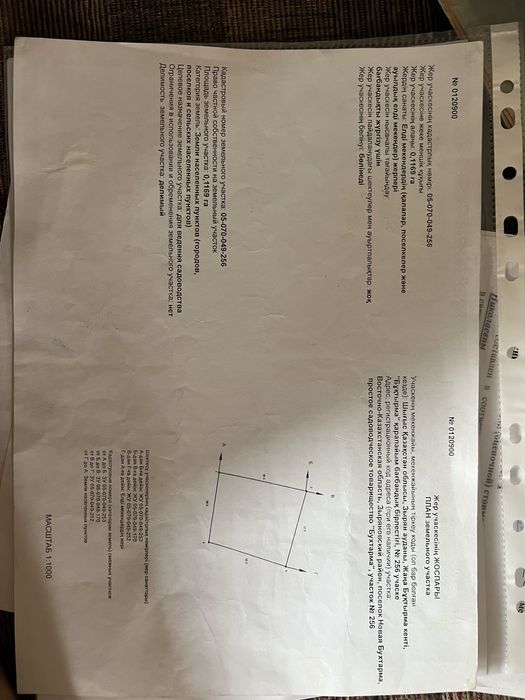 Участок на бухтарме