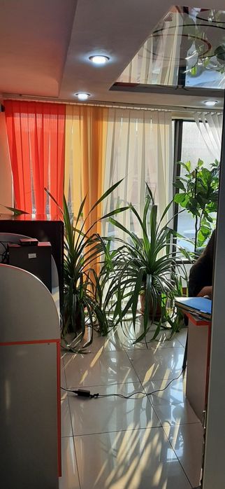 Сдам в аренду  помещение