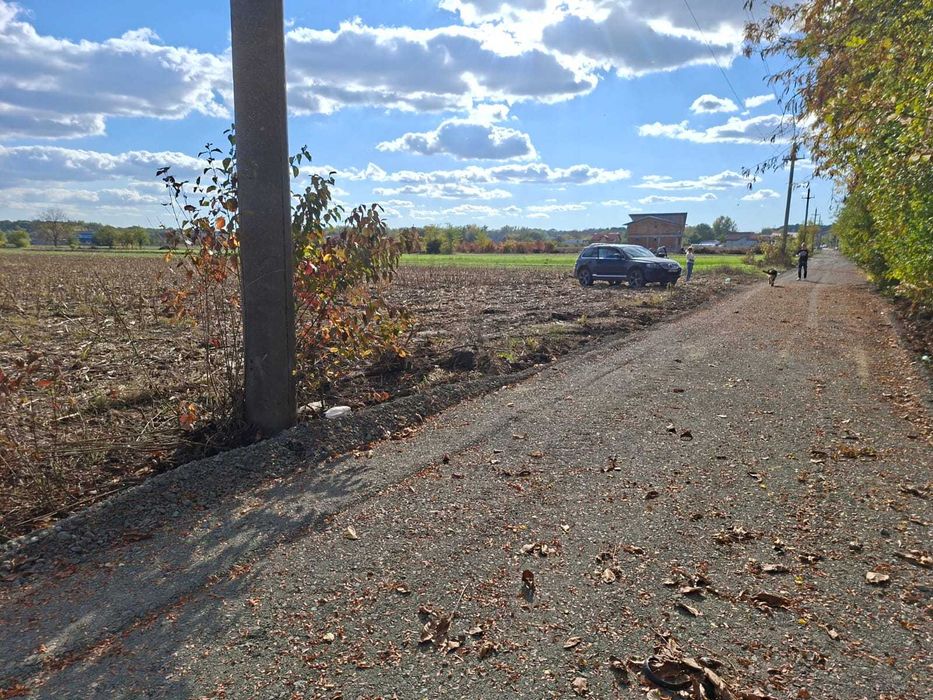 Loturi 500 - 1000 mp, Bolintin Deal, zona dintre păduri, utilități