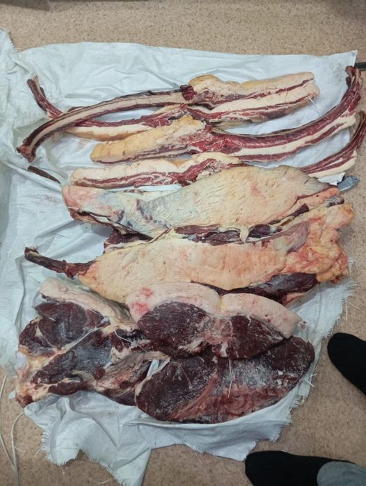 Продам мясо конины  свежее