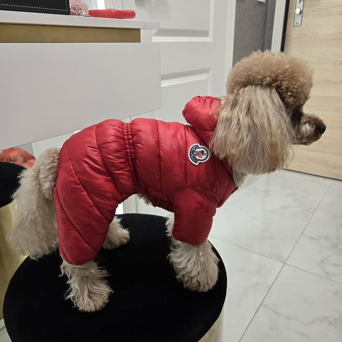 Зимен гащеризон Moncler