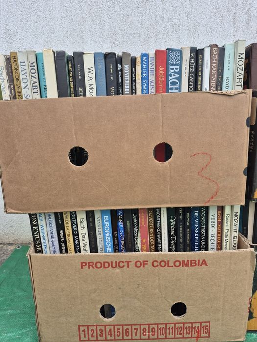 Vând Lot 200LP Discuri Vinil colectie muzică clasică mixta