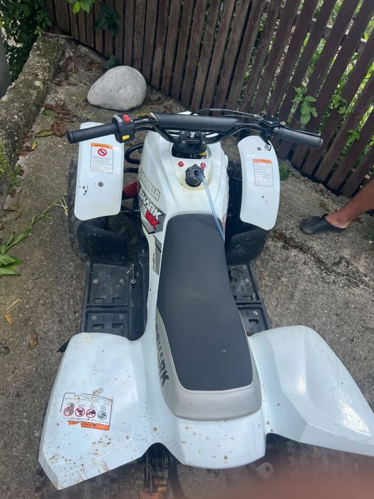 vand atv 125cc quadzilla