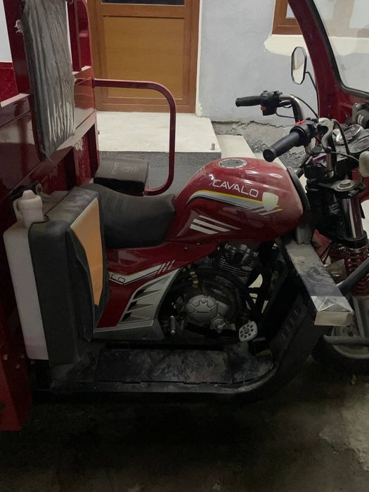 Cavalo benzinli moto