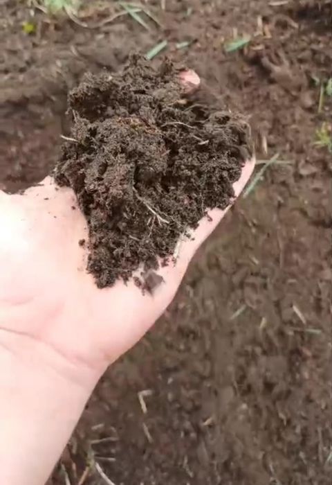 Отличный чернозем