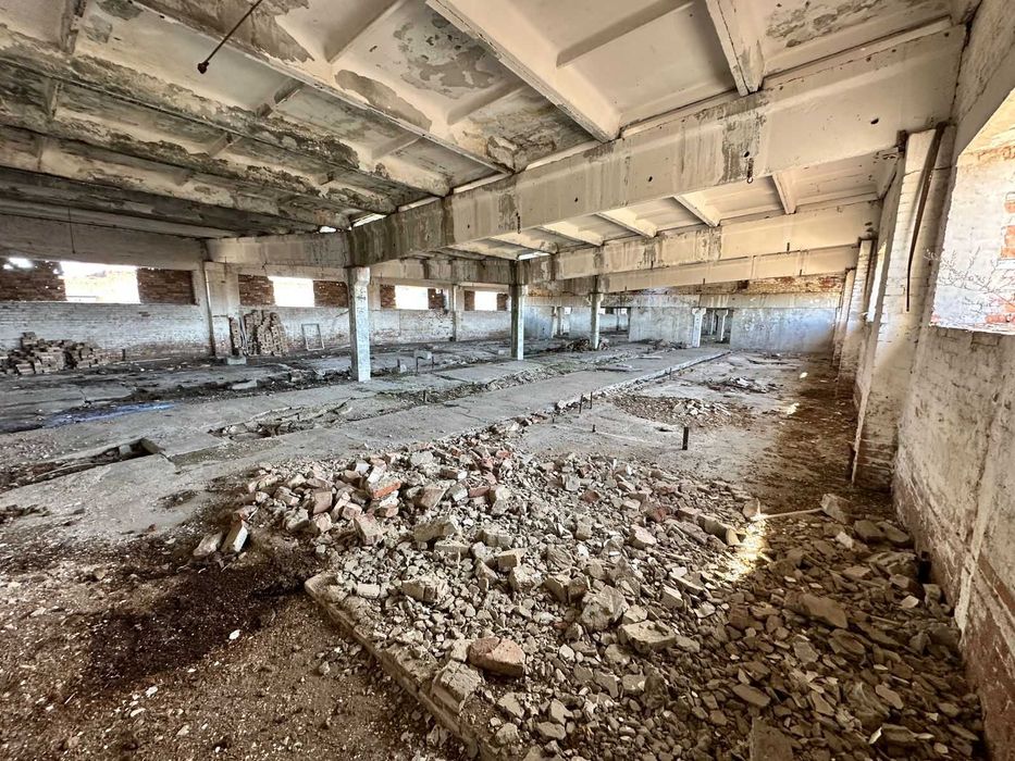 В продаже База новоявленка Алаш 1