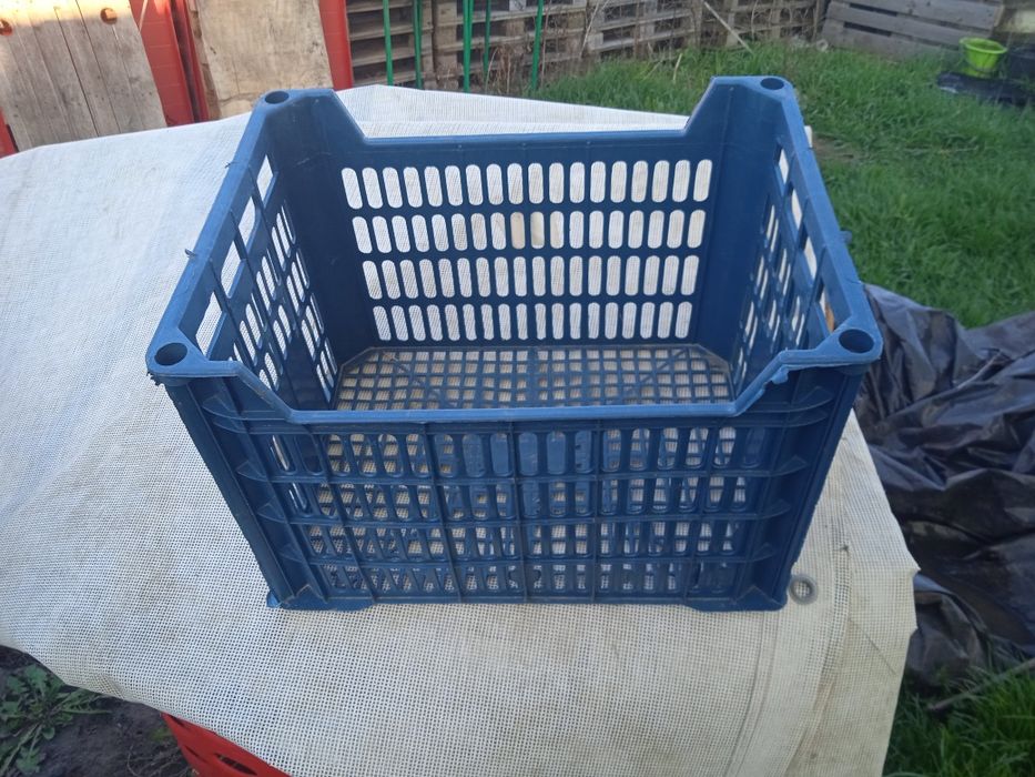 Lădițe plastic  diferite mărimi