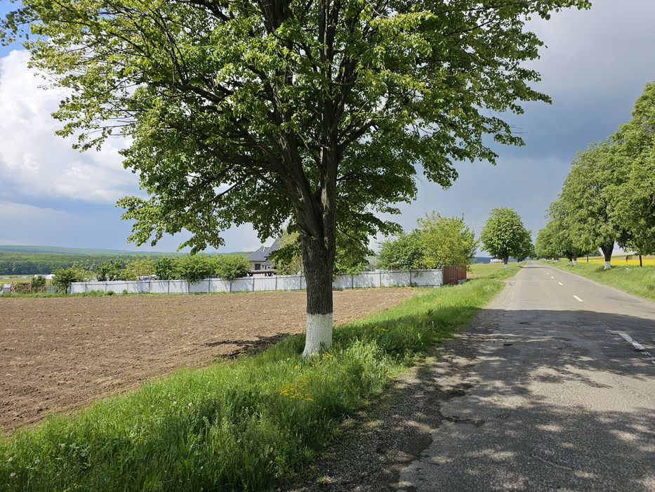 Vând 55,5 ari teren în Mitocu Dragomirnei