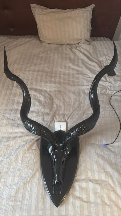 Trofeu Antilopa  Greater Kudu Africa – piesă rară de colecție