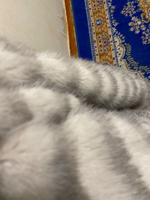 Продаётся эко шуба носила пару раз