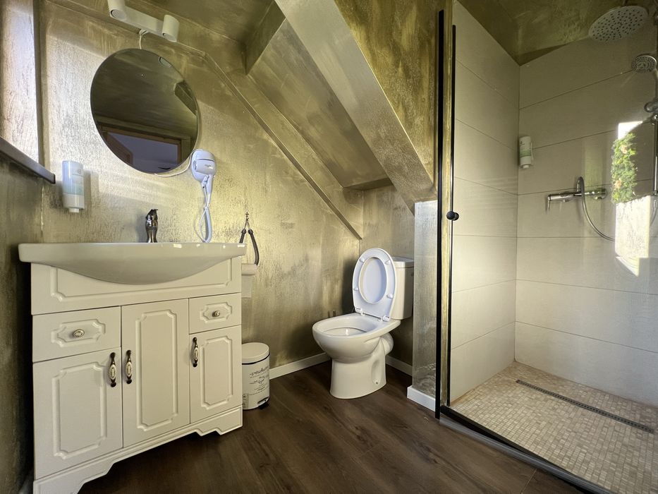 Vila de inchiriat BRAN  - PASTE