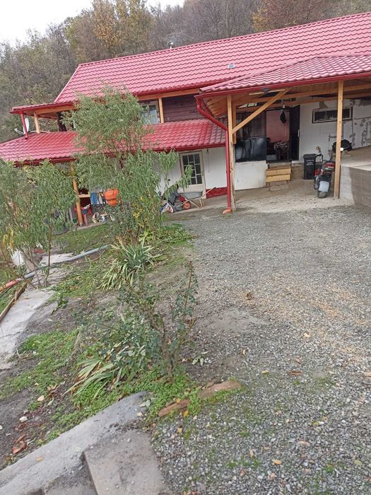 Vand conac de vanatoare in Defileul Dunarii