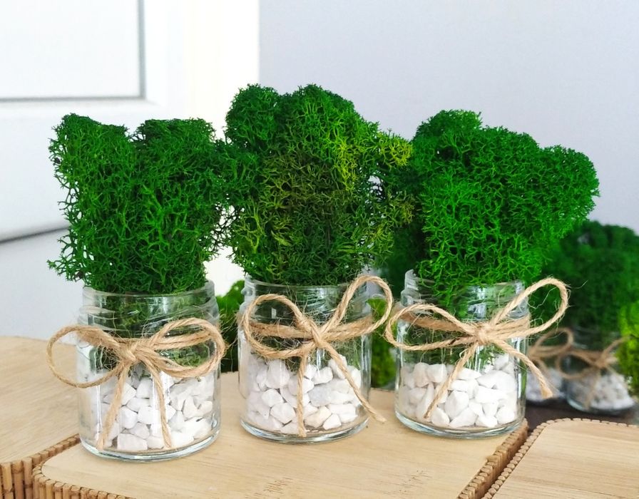 Подаръчета за гости / Декорация за дома