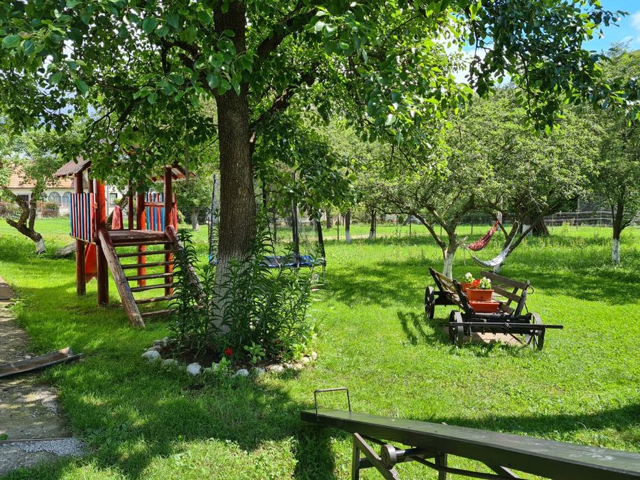 Cazare  la munte  in Bran