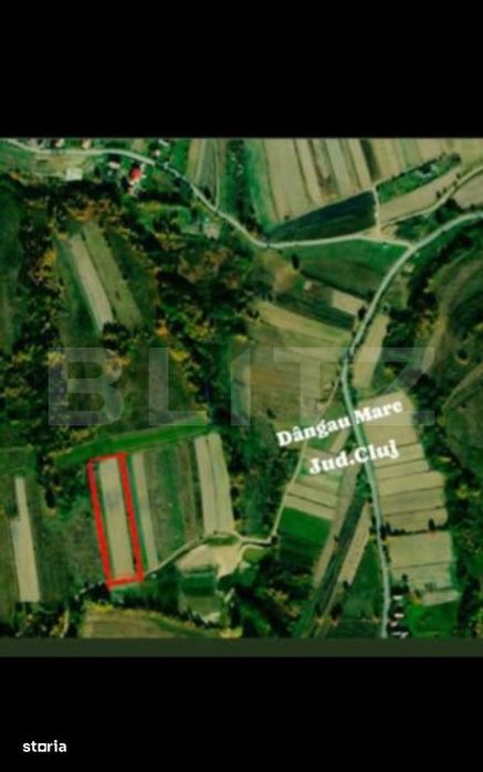 Teren extravilan 4265 mp, in Dangaul Mare - EXCLUSIVITATE