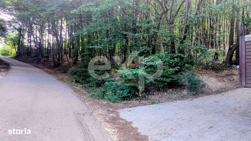 Teren Stefanesti(Valea Mare) Zona In Plina Dezvoltare