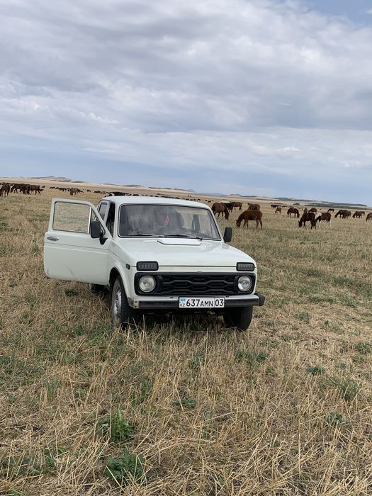 продам ниву. состояние отличное.