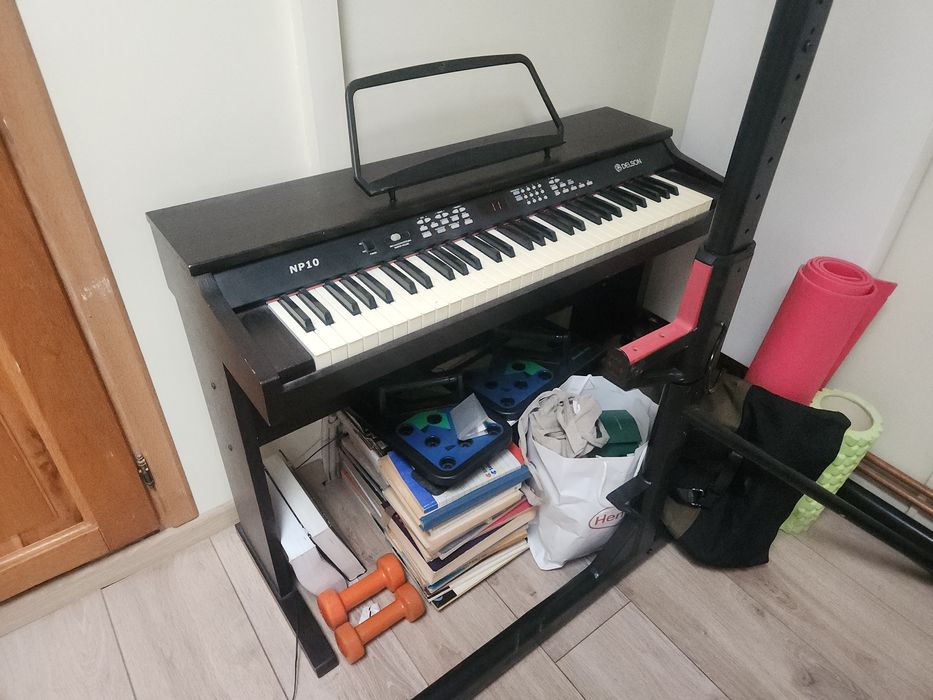 Pain Electronic Delson NP10