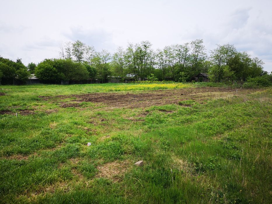 Teren vânzare intravilan Gurbănești județul ilfov