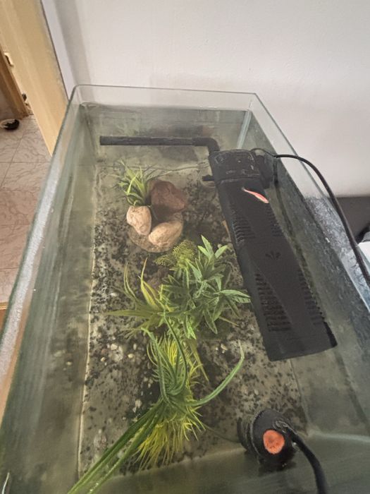 Vand Acvariu 40 litrii 250 lei