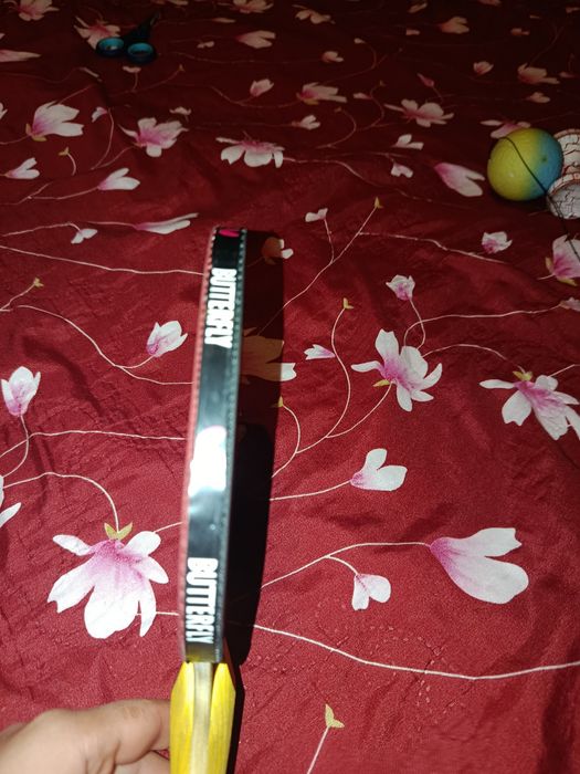 Vand paleta de ping pong butterfly timo boll sg55