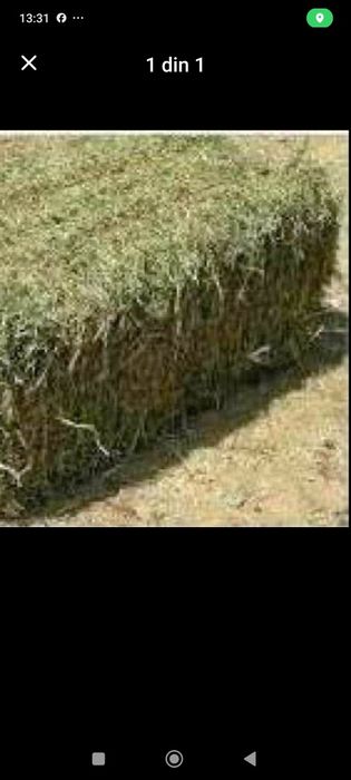 Baloți delucernă cu fîn