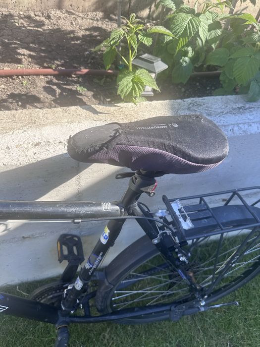 Bicicleta adulti