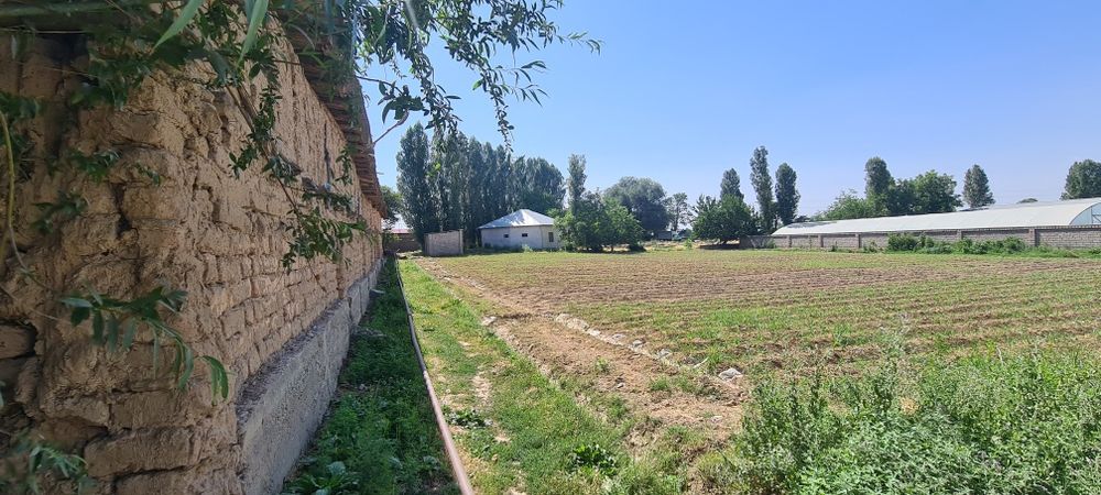 Betonkani yonida uchastka M39 60 metr
Toshkentgan 18km