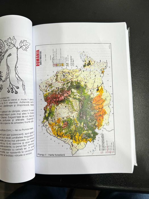 Cartea Padurarului 97