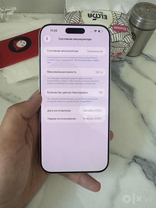 17 Pro Max 256Gb Silver 100%