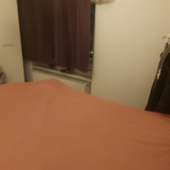 Vind cearșaf de pat din bumbac , Lungime 2.65 și lățime 2.22 cm