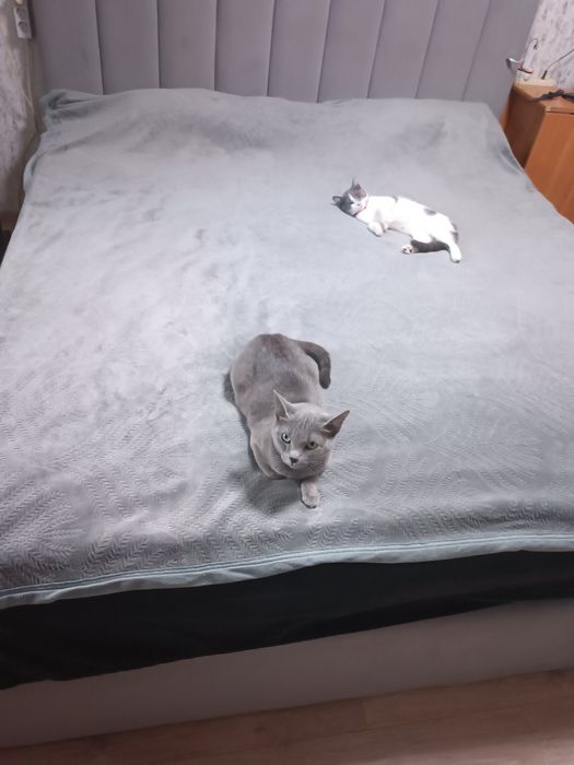 Кровать двухспальная