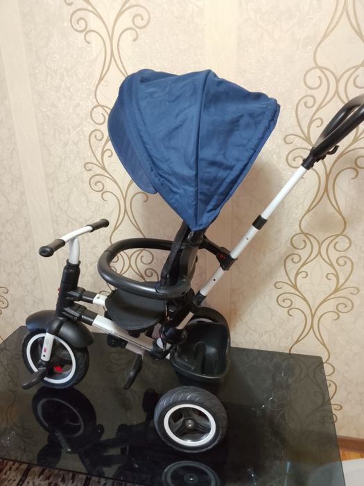 Velik kalyaska holati zor