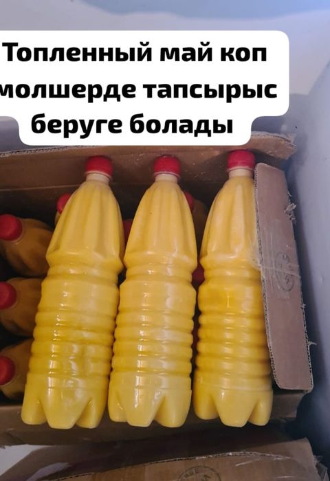 Масло 4200домашние