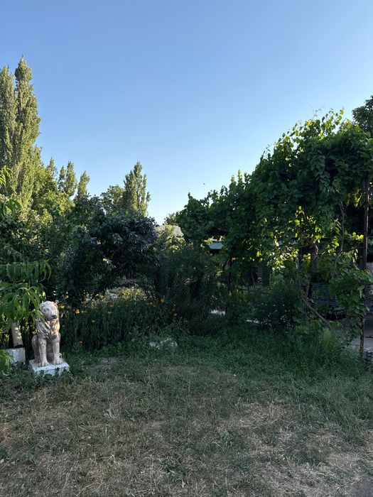 Продается дом в сельском округе