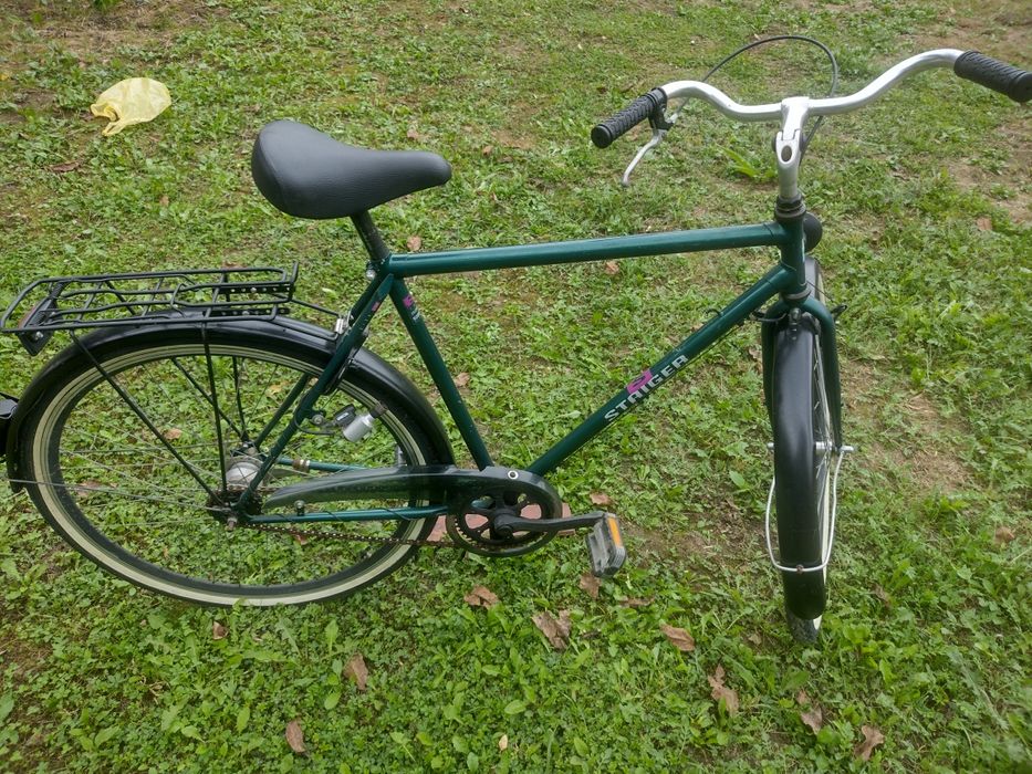 Biciclete Giant si Staiger