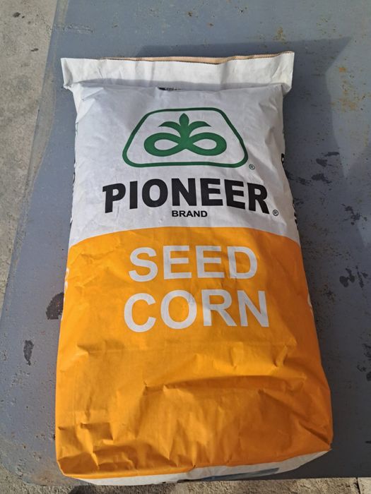 Кукуруза семена Пионер