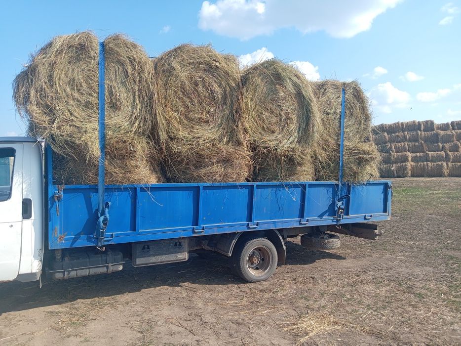 Продам сено с доставкой